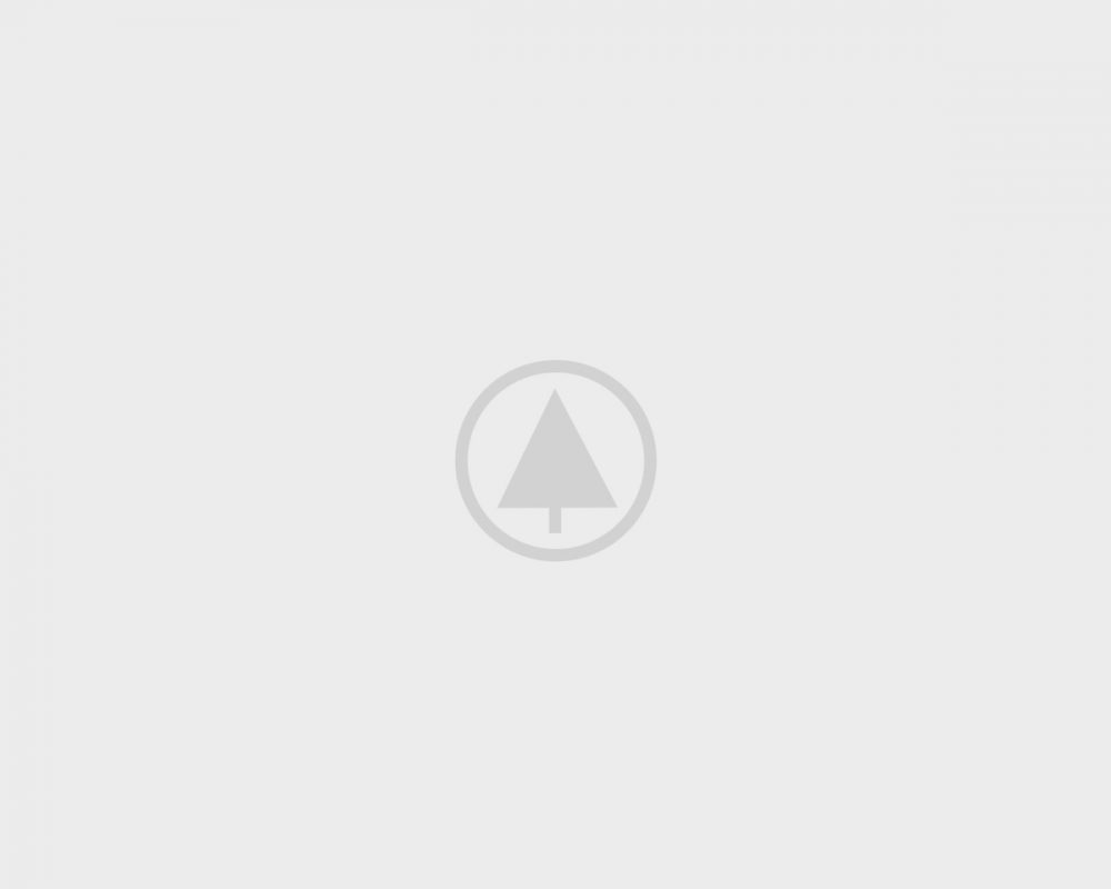 wood-gallery-placeholder-4
