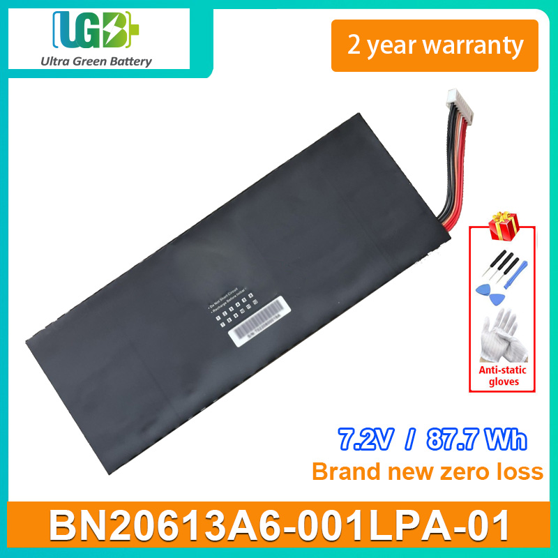 BN20613A6-001LPA-01