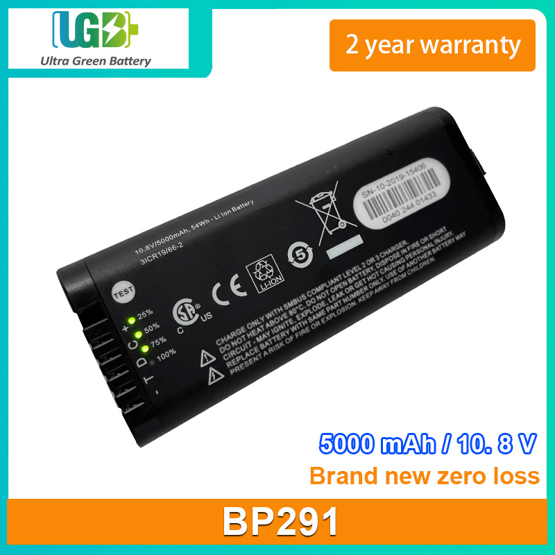 BP291
