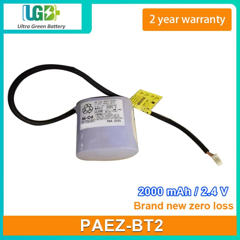 PAEZ-BT2