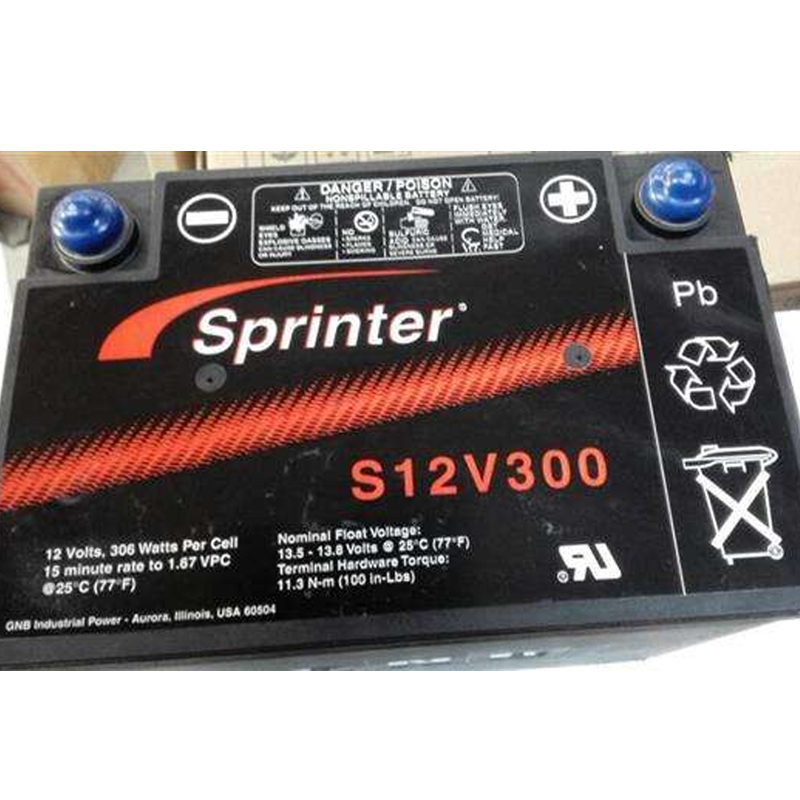 S12V300