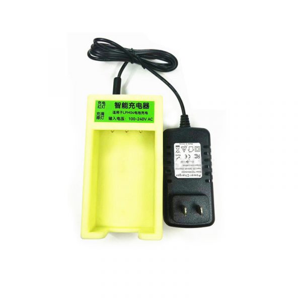 LPM04 charger
