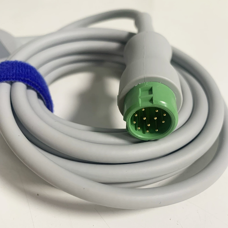 EV6203
