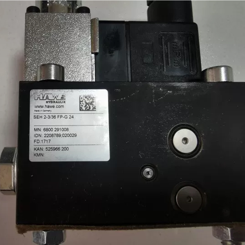 HAWE SEH2-336FP-G24