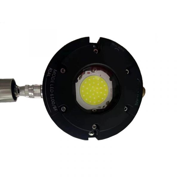 LED6100BF