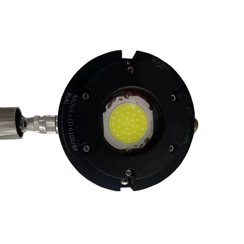 LED6100BF