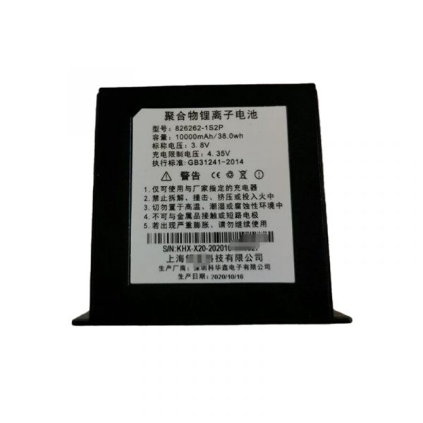 826262-1S2P